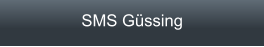 SMS Güssing