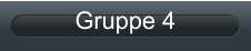 Gruppe 4