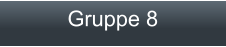 Gruppe 8