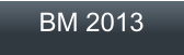 BM 2013