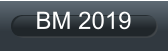BM 2019