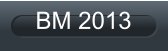 BM 2013